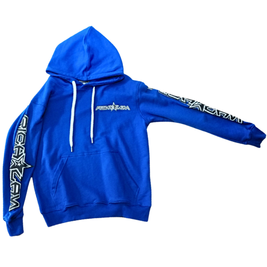 RichLan puff print hoodie (blue)